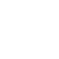 Steam